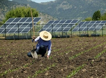 paneles solares para agricultura ganaderia ranchos y cabañas