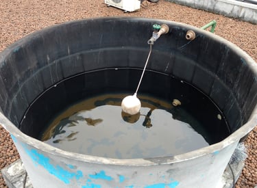 limpeza de caixa d'agua