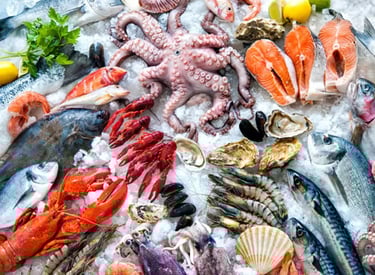seafood supplier