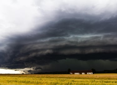 1. Le dérèglement climatique fragilise directement les cultures :