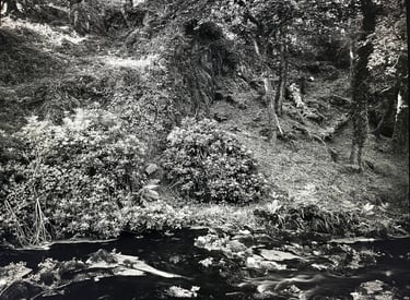 Pierre Thoretton