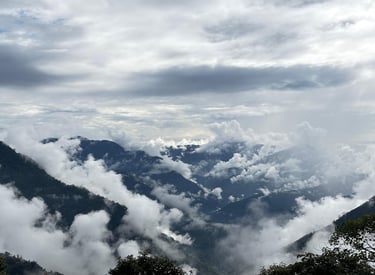 Pine Valley View Homestay - Chakung Homestay