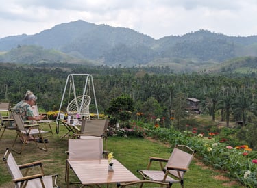 Hen Tae khao cafe, sawi Chumphon
