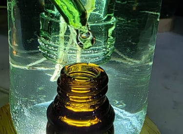 hochwertiger Hydropflanzendünger