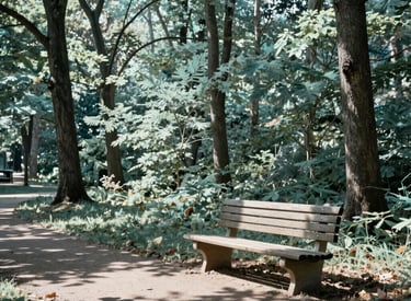 A serene outdoor scene in a lush Michigan park with tall trees and dappled sunlight. A wooden bench sits by a walking path, symbolizing peace and community support. High-quality photography, professional style, reflecting the colors of light mint and muted teal.