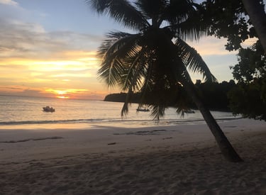 alt=Intendance de propriété Nosy Be 