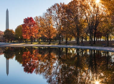 FALL REFLECTIONS