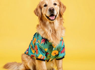 Un perro Golden Retriever feliz que lleva una colorida camisa con estampado floral tropical.
