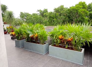 macetas en fibra de vidrio utilizándose en un hotel real