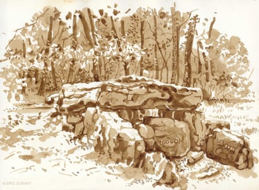 Lavis de brou de noix  sur papier A4 - © Eric Durant