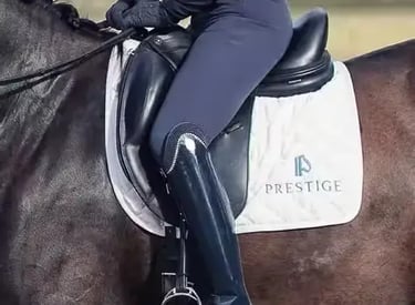 Prestige Saddle on Horse
