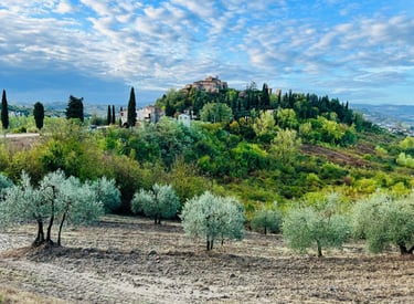Scenic view of medieval Certaldo Alto hilltop town nestled in the Tuscan countryside with olive groves