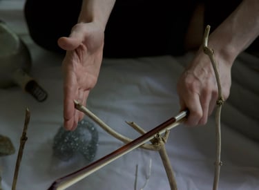 sound artist playing a wooden branch with a bow