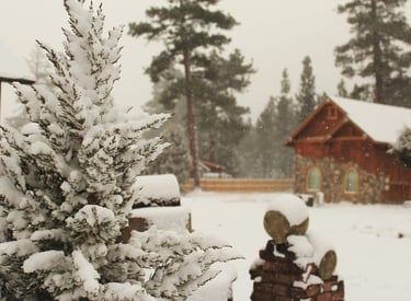 Cabaña en bosque cubierto de nieve
