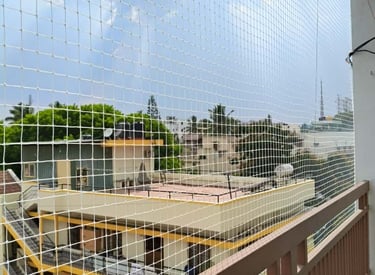 A happy dog safely looking out through a balcony enclosed with a strong safety net.
