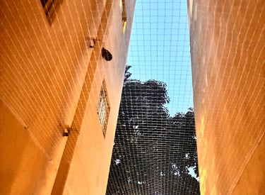 Close-up of a sturdy safety net installed around an apartment duct area.