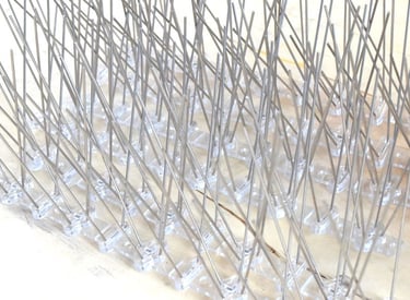 Close-up of sharp bird spikes installed along a rooftop edge.