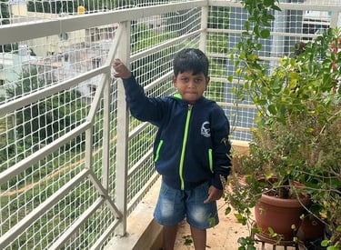 child-safe net installed on a window to prevent falls.