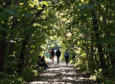 photo of white staircase