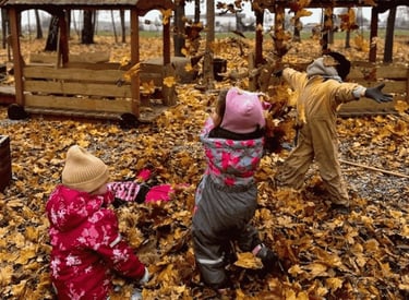 Valdorfo darželis Radailiuose