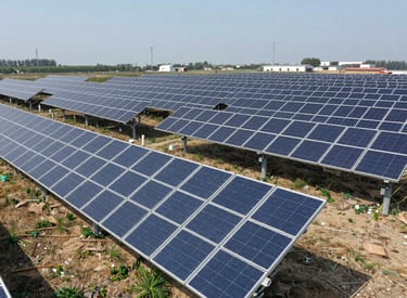 Close-up of a solar panel being cleaned and inspected by a professional.