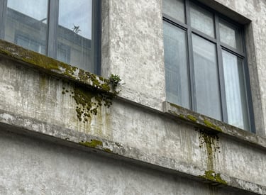 Close-up of a building consultant inspecting a property's exterior walls.