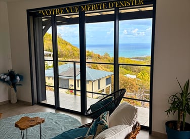 nettoyage de vitres en martinique