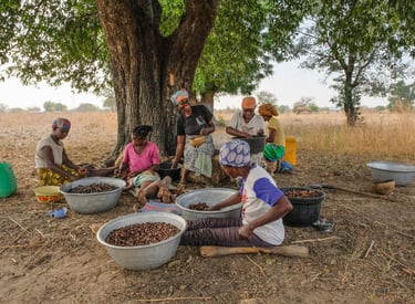 Femmes travaillant de l'amende de karite pour faire du beure de karite