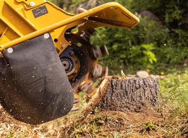 stump grinding services in St.Tammany Parish