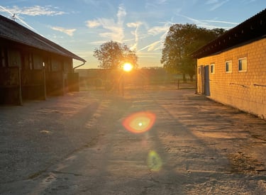 Golden sunrise over a rural horse stable yard with long shadows and clear blue sky.