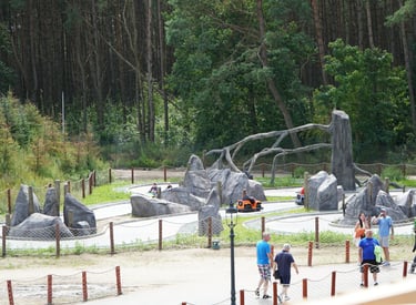 Families enjoy an outdoor go-kart track with stone obstacles and a forest backdrop at a theme park.