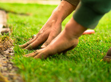 Lawn care and Turf laying in Bridgwater Somerset UK