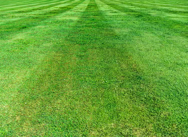 Lawn striping and lawn care in Bridgwater Somerset UK
