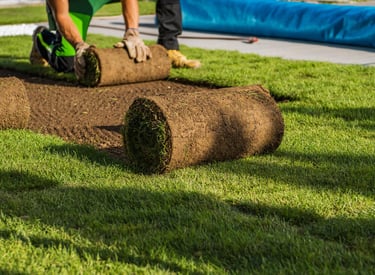 sod installation in Baton Rouge Louisiana 