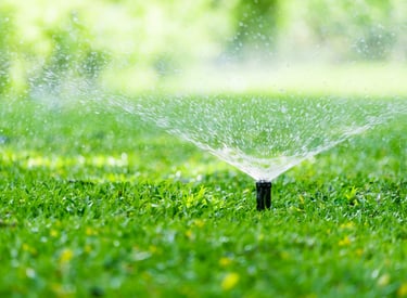 irrigation installation in Baton Rouge Louisiana