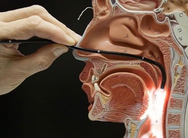 fibroscopia a fibre ottiche utilizzato da otorinolaringoiatra