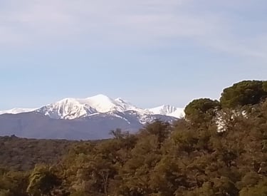 une forêt surplombée par la montagne canigou