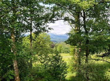 Scenic landscape view of lush green trees and rolling hills in the English countryside from a wooden balcony.
