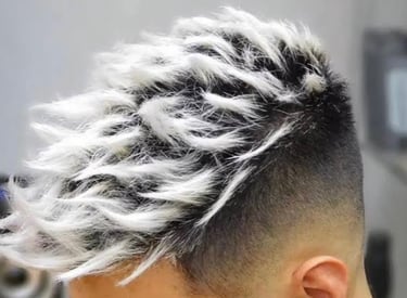 Hair Colour - Silver Barbers Braybrook