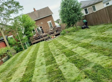 Landscaping and Lawn Care by TN Professional Services