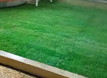 عشب طبيعي وصناعي مؤسسة فردوس النسيم 