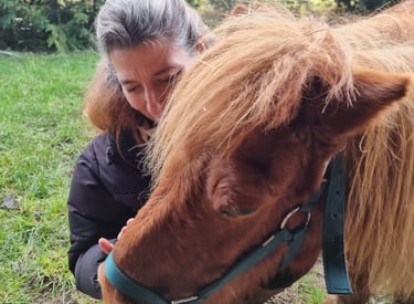 magnetisme cheval caen