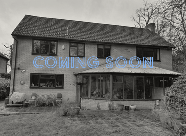 Large kitchen and utility extension in Fordham