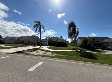 Expert landscaping and yard clean-up services in Sebring, Florida by Threefold