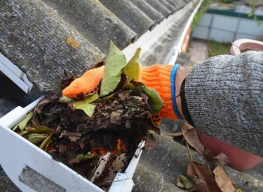 Guild Guttering