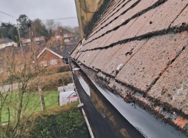 Gutter clearance and debris removal on residential property
