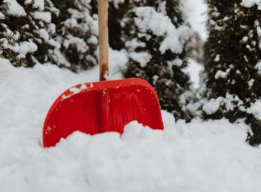 a red shovel, which was used to shovel the snow, with snowy pine trees in the background