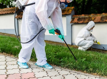 مكافحة القوارض