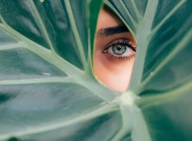 Drew Dizzy on Unsplash.com, Protect your Skin from Aging