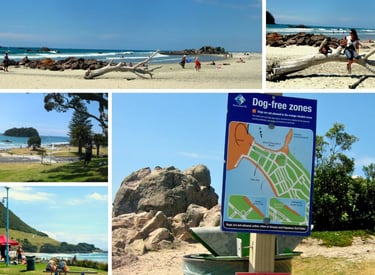 Set de fotos das praias de Tauranga, mostrando areia, mar e céu claro.